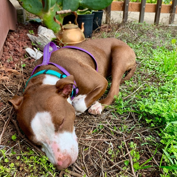 Meet your Posher, Kate - Picture 3 of 13